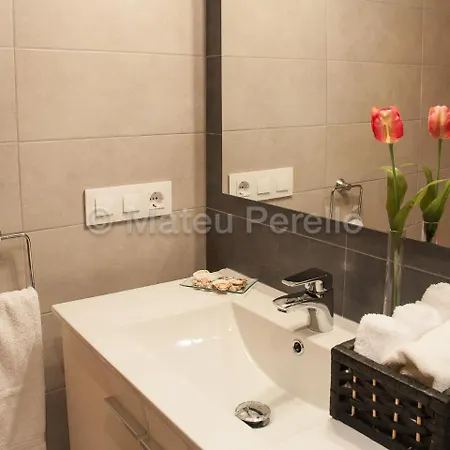 Obelisc 캔 피카폴트